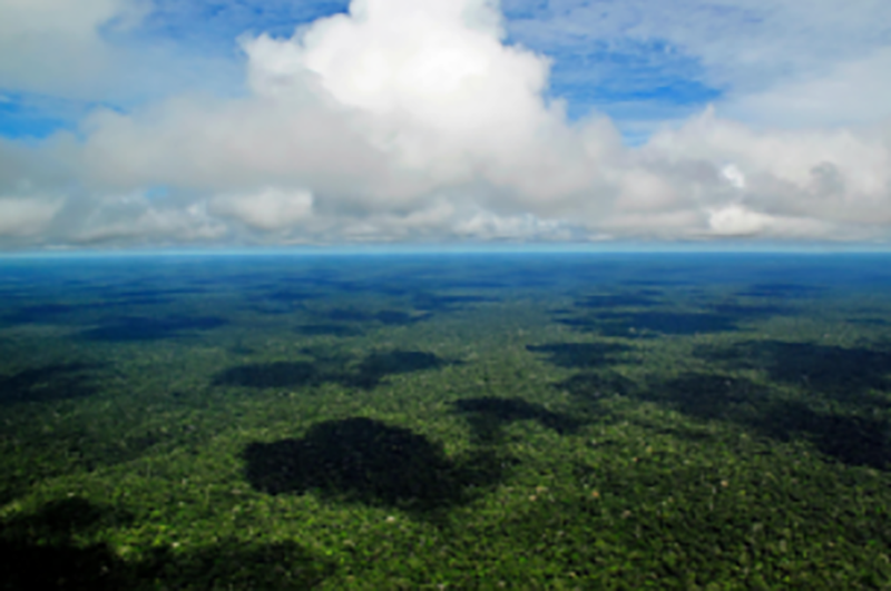 brasil